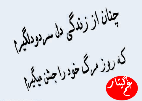 مخاطب خاصم@M$@ مخاطب خاصم@M$@